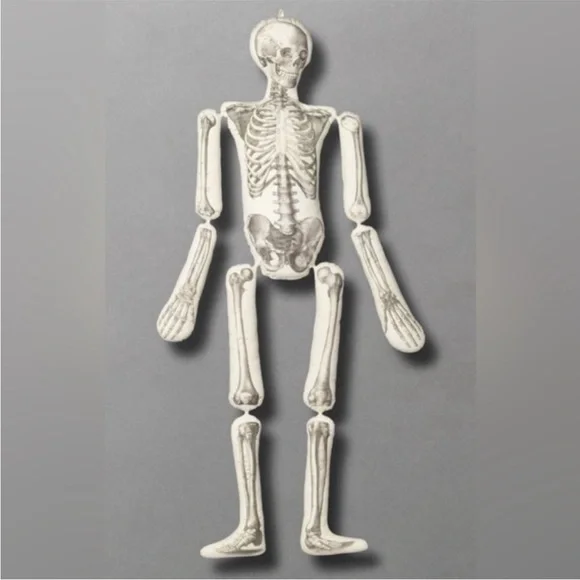 ~5.25 ft. Skeleton Pillow by designer John Derian - Picture 2 of 5